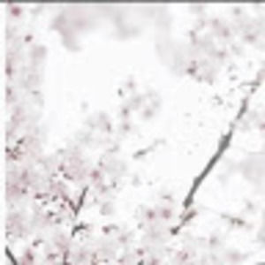 Meet your Posher, Amerah